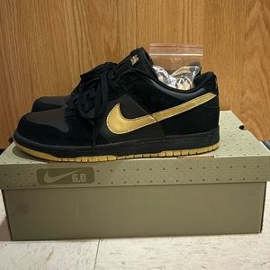 Nike Dunk Low 6.0